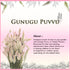 Gunugu Puvvu | Celosia Flowers